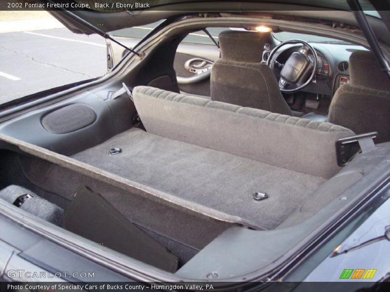 Black / Ebony Black 2002 Pontiac Firebird Coupe