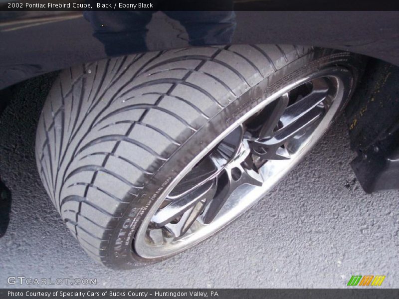 Black / Ebony Black 2002 Pontiac Firebird Coupe