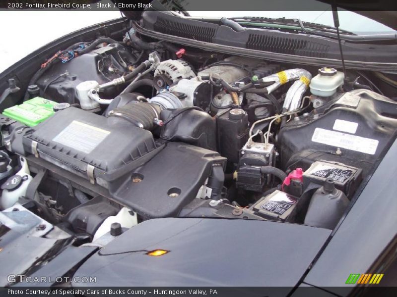 Black / Ebony Black 2002 Pontiac Firebird Coupe