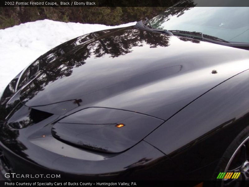 Black / Ebony Black 2002 Pontiac Firebird Coupe