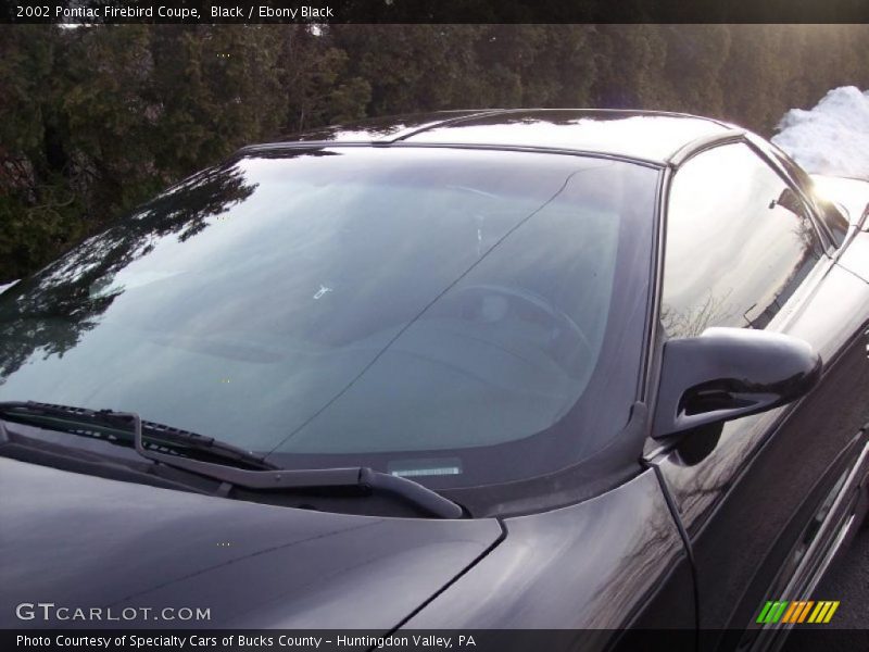 Black / Ebony Black 2002 Pontiac Firebird Coupe