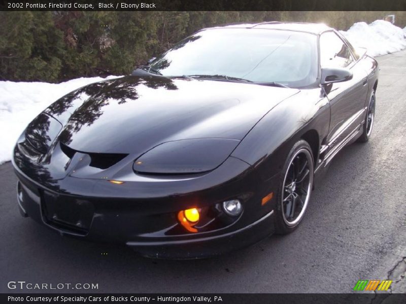 Black / Ebony Black 2002 Pontiac Firebird Coupe