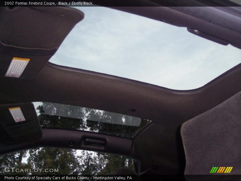 Black / Ebony Black 2002 Pontiac Firebird Coupe