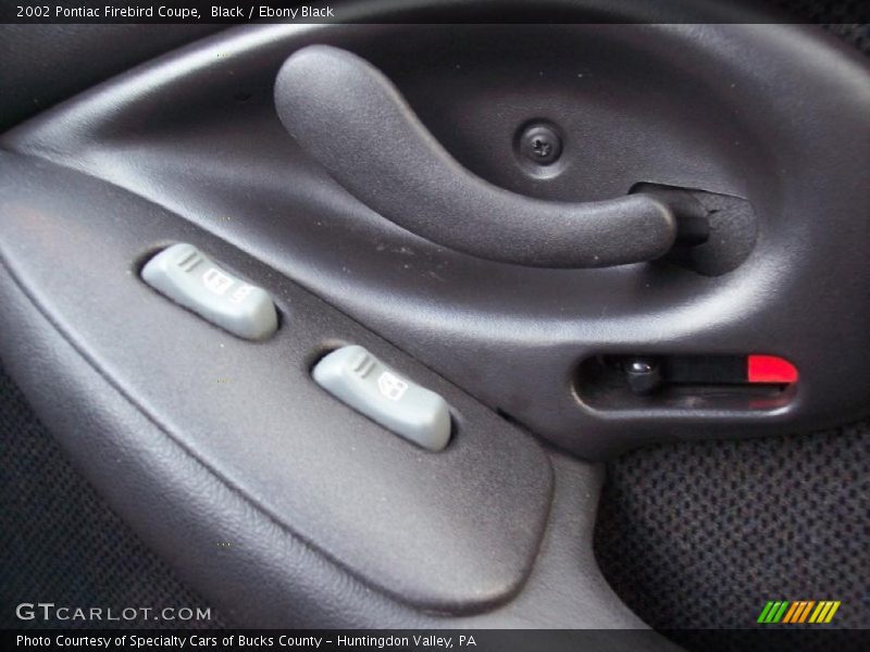 Black / Ebony Black 2002 Pontiac Firebird Coupe