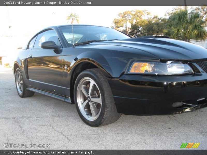 Black / Dark Charcoal 2003 Ford Mustang Mach 1 Coupe