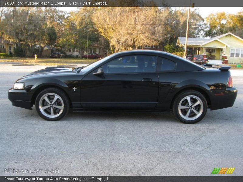 Black / Dark Charcoal 2003 Ford Mustang Mach 1 Coupe