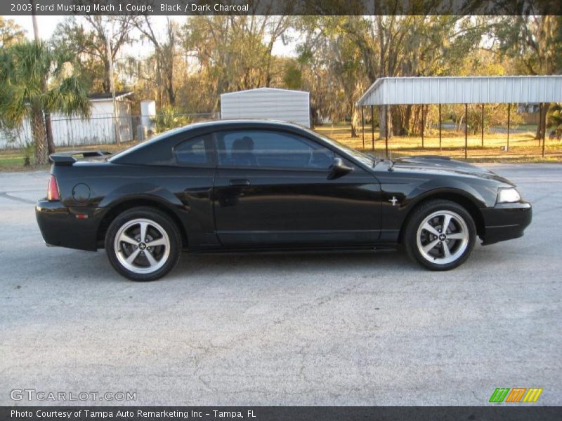 Black / Dark Charcoal 2003 Ford Mustang Mach 1 Coupe