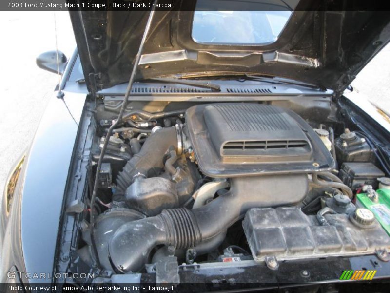 Black / Dark Charcoal 2003 Ford Mustang Mach 1 Coupe