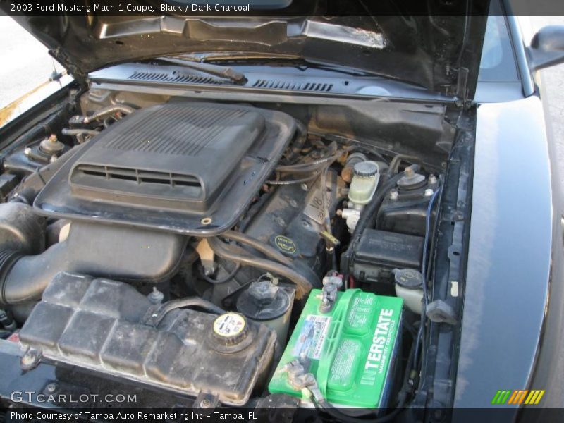 Black / Dark Charcoal 2003 Ford Mustang Mach 1 Coupe