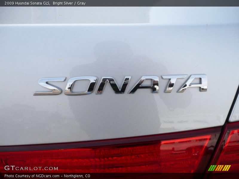Bright Silver / Gray 2009 Hyundai Sonata GLS