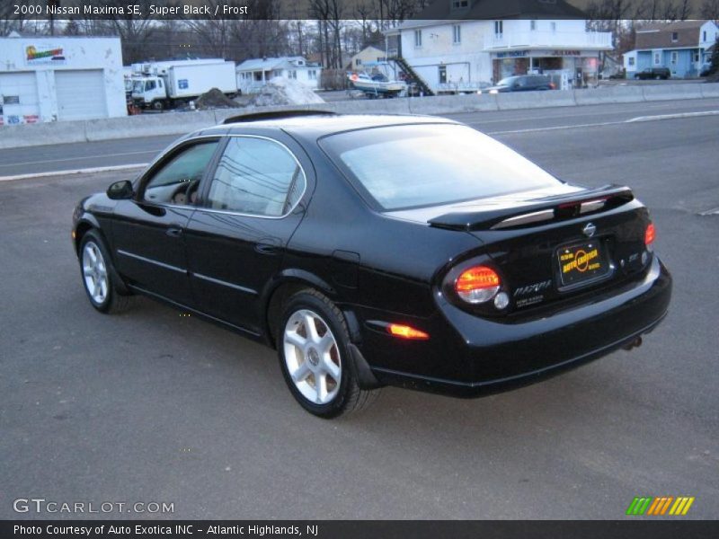 Super Black / Frost 2000 Nissan Maxima SE
