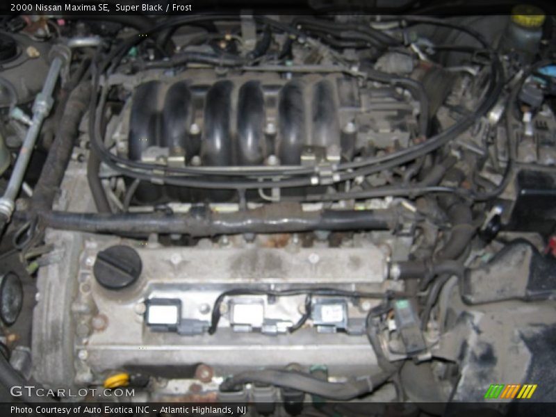 Super Black / Frost 2000 Nissan Maxima SE