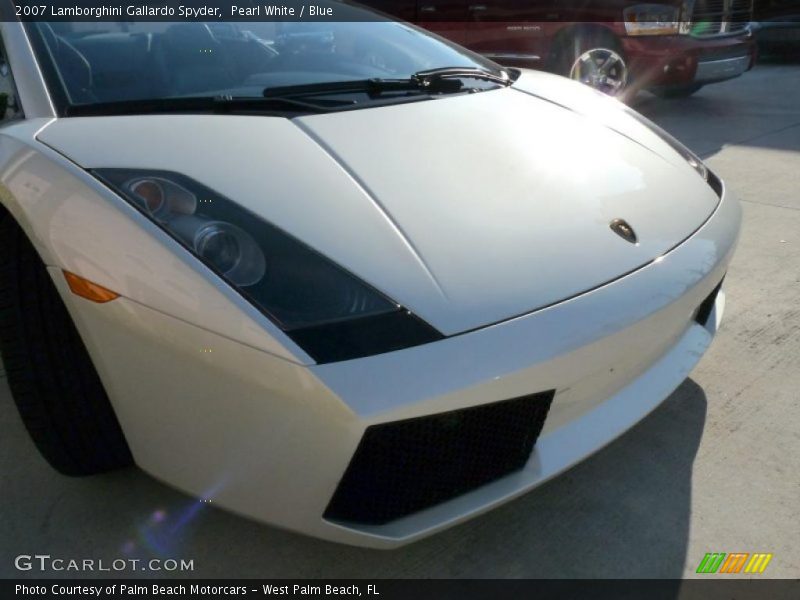 Pearl White / Blue 2007 Lamborghini Gallardo Spyder