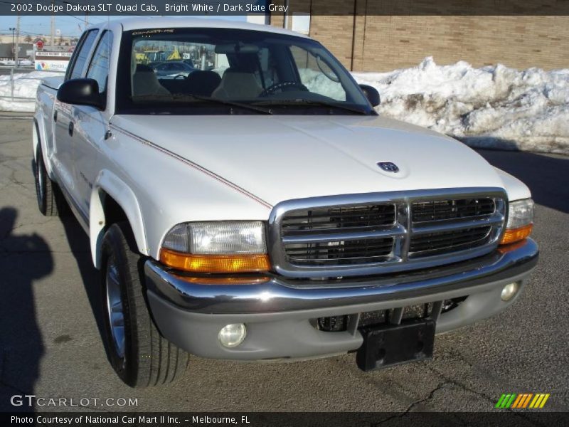 Bright White / Dark Slate Gray 2002 Dodge Dakota SLT Quad Cab