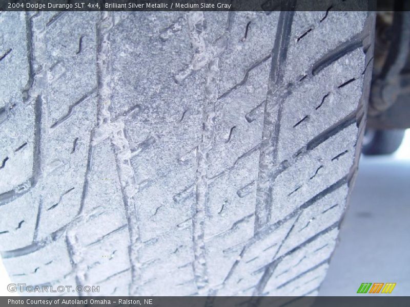 Brilliant Silver Metallic / Medium Slate Gray 2004 Dodge Durango SLT 4x4