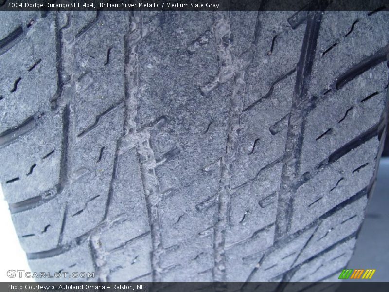 Brilliant Silver Metallic / Medium Slate Gray 2004 Dodge Durango SLT 4x4