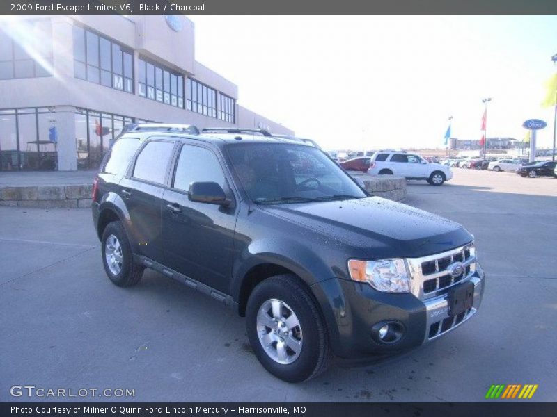 Black / Charcoal 2009 Ford Escape Limited V6