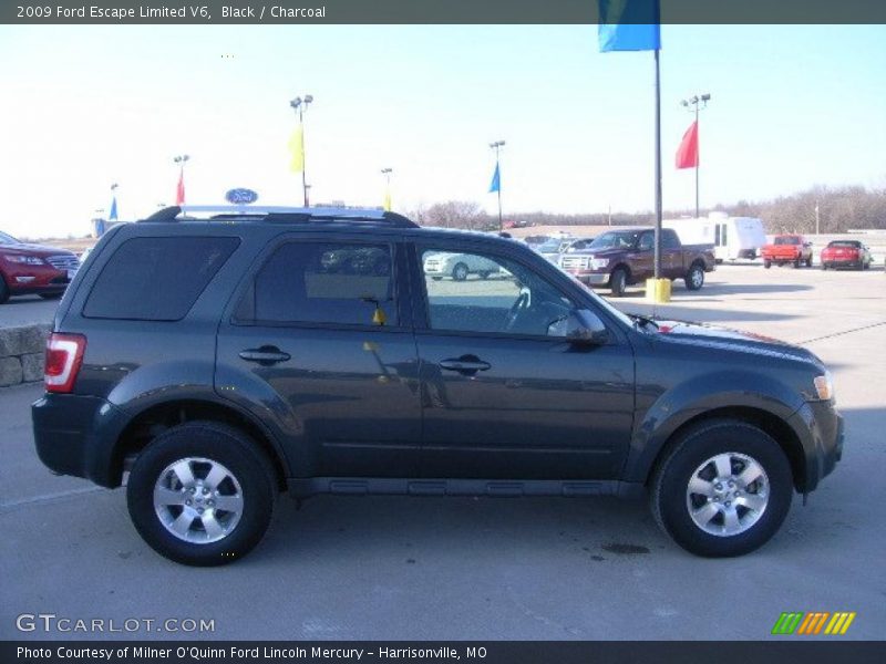 Black / Charcoal 2009 Ford Escape Limited V6