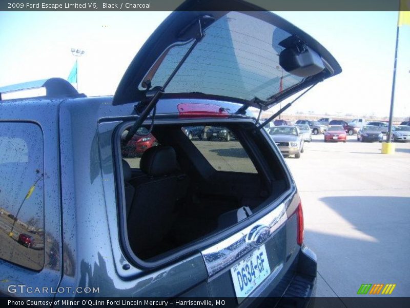 Black / Charcoal 2009 Ford Escape Limited V6
