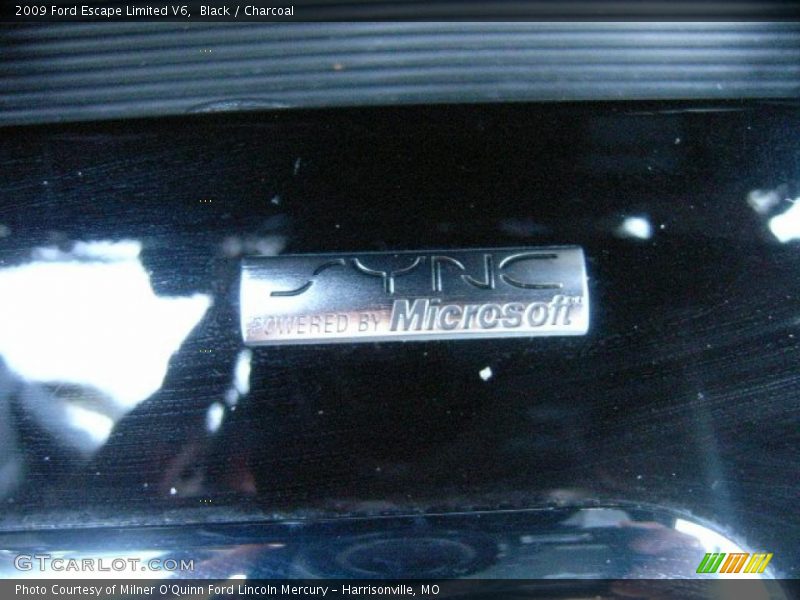 Black / Charcoal 2009 Ford Escape Limited V6
