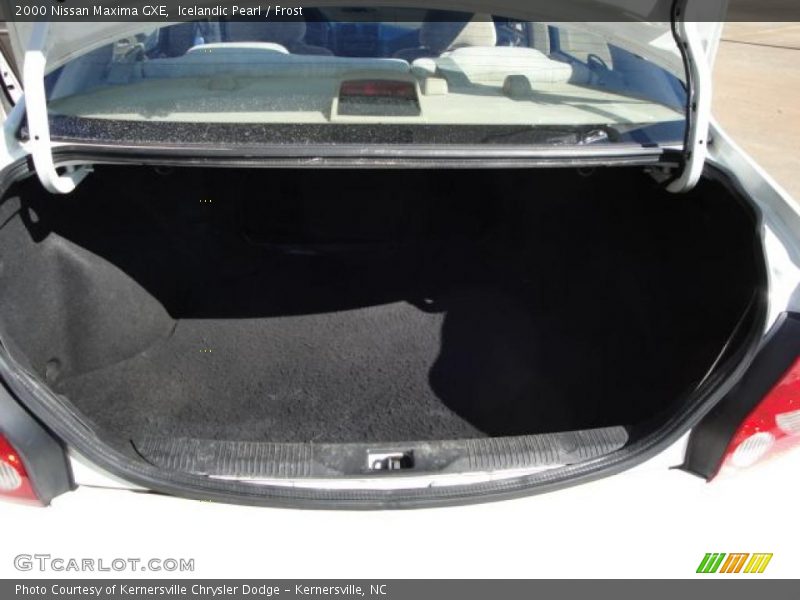 Icelandic Pearl / Frost 2000 Nissan Maxima GXE