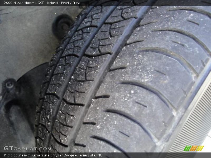 Icelandic Pearl / Frost 2000 Nissan Maxima GXE
