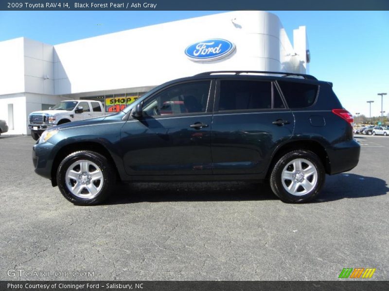 Black Forest Pearl / Ash Gray 2009 Toyota RAV4 I4