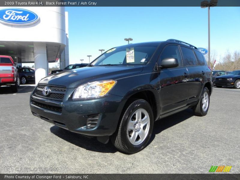 Black Forest Pearl / Ash Gray 2009 Toyota RAV4 I4