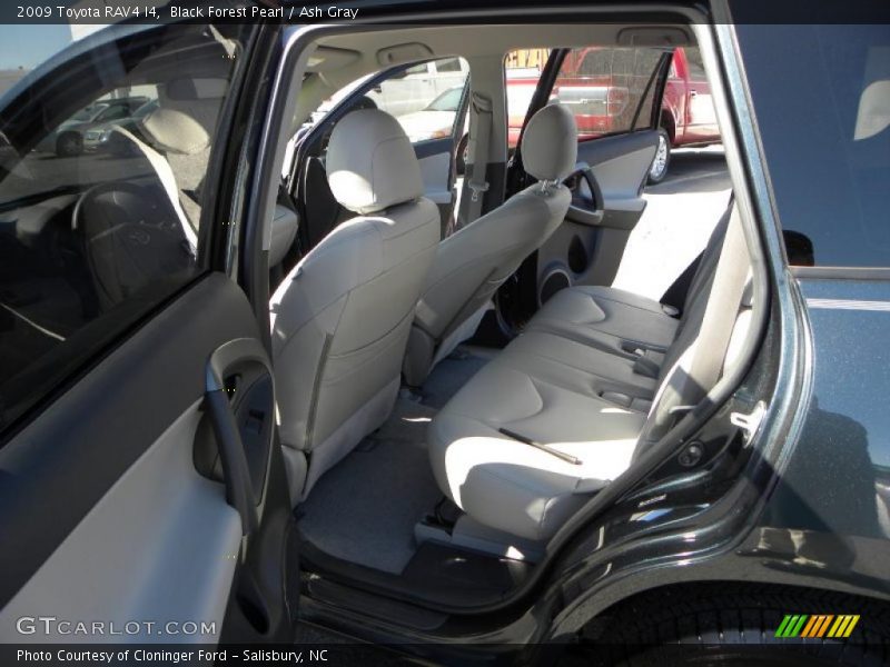 Black Forest Pearl / Ash Gray 2009 Toyota RAV4 I4