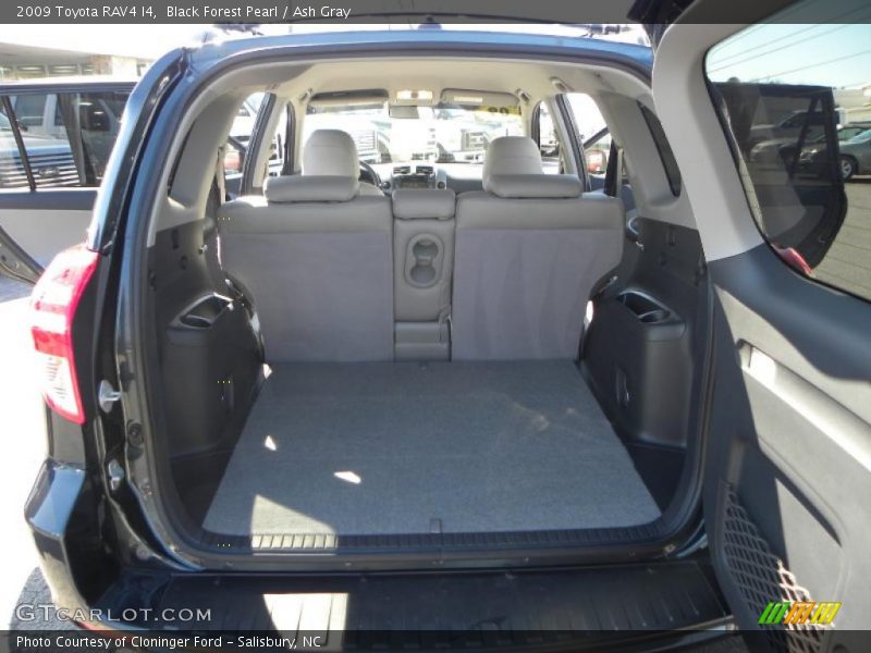 Black Forest Pearl / Ash Gray 2009 Toyota RAV4 I4