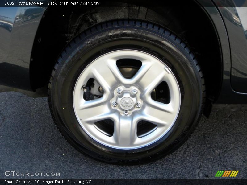 Black Forest Pearl / Ash Gray 2009 Toyota RAV4 I4