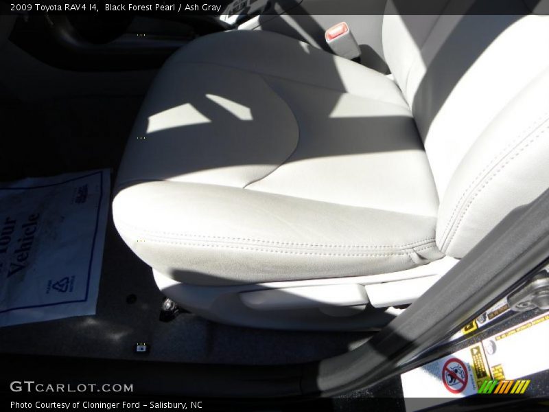 Black Forest Pearl / Ash Gray 2009 Toyota RAV4 I4