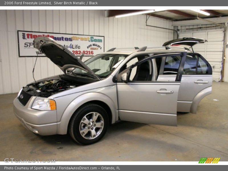 Silver Birch Metallic / Black 2006 Ford Freestyle Limited
