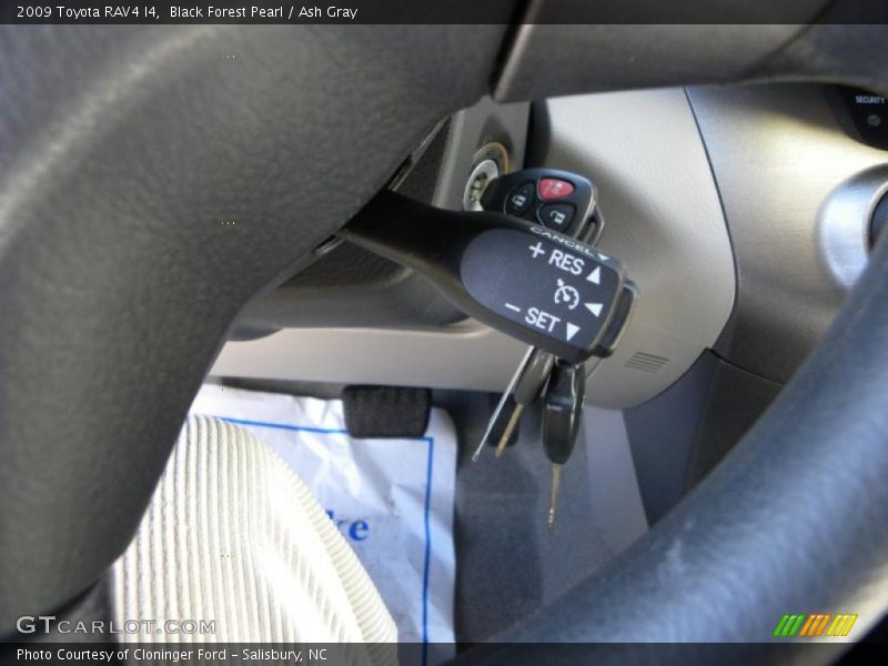 Black Forest Pearl / Ash Gray 2009 Toyota RAV4 I4
