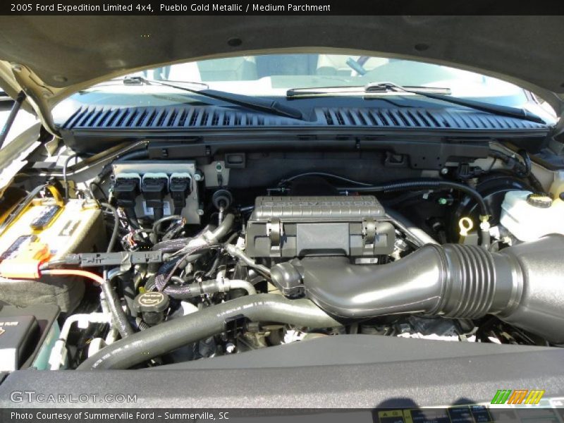 Pueblo Gold Metallic / Medium Parchment 2005 Ford Expedition Limited 4x4