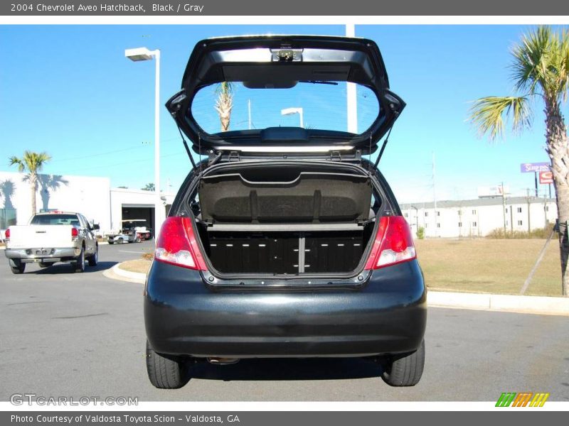 Black / Gray 2004 Chevrolet Aveo Hatchback