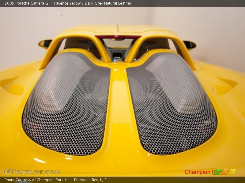 Fayence Yellow / Dark Grey Natural Leather 2005 Porsche Carrera GT