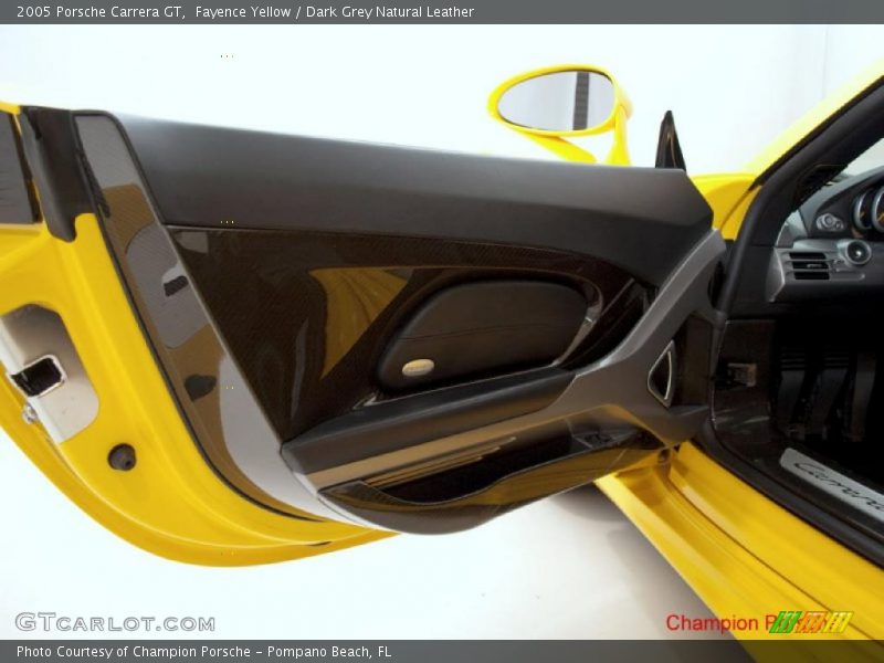 Door Panel of 2005 Carrera GT 