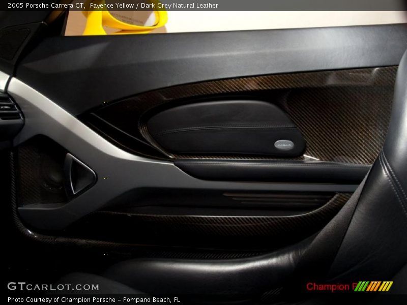 Door Panel of 2005 Carrera GT 