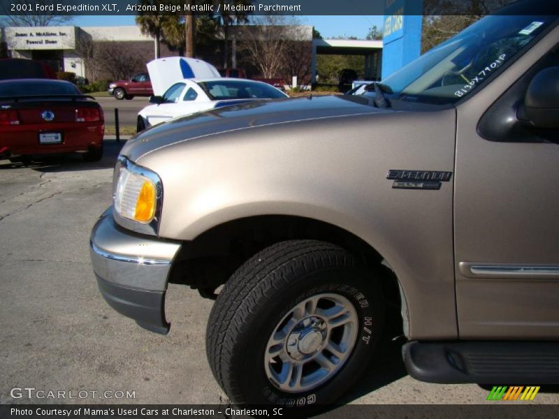 Arizona Beige Metallic / Medium Parchment 2001 Ford Expedition XLT