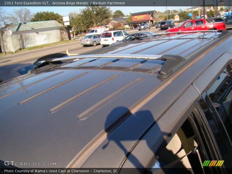 Arizona Beige Metallic / Medium Parchment 2001 Ford Expedition XLT