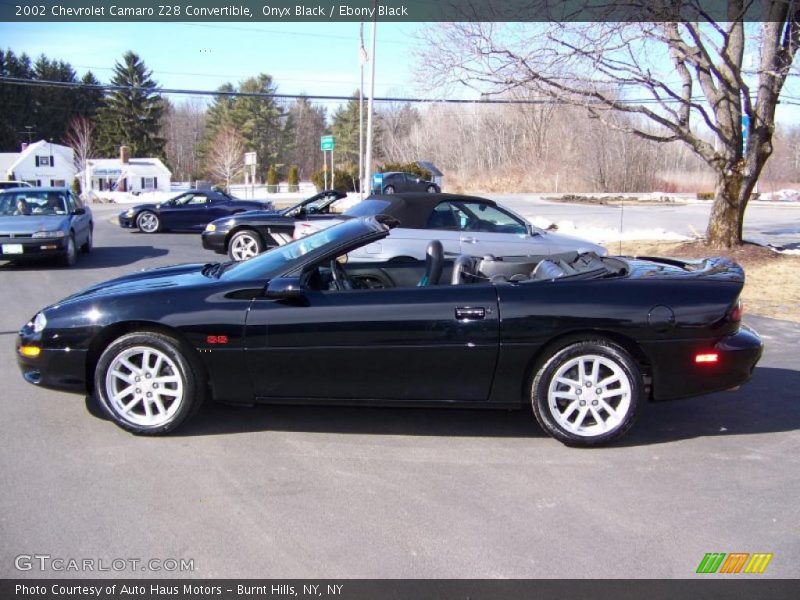 Onyx Black / Ebony Black 2002 Chevrolet Camaro Z28 Convertible