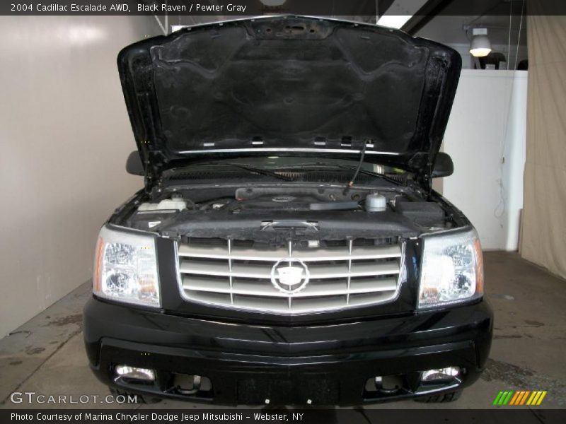 Black Raven / Pewter Gray 2004 Cadillac Escalade AWD