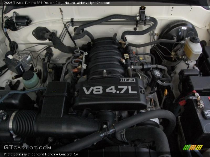 Natural White / Light Charcoal 2006 Toyota Tundra SR5 Double Cab