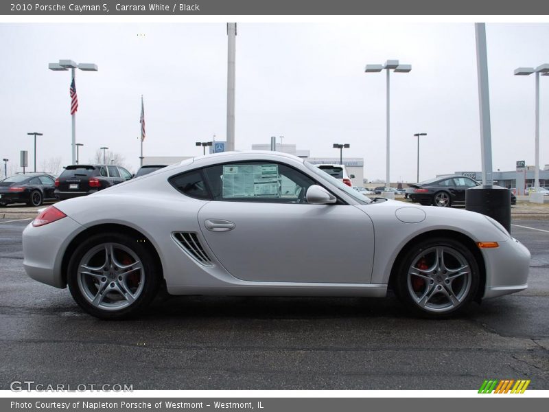 Carrara White / Black 2010 Porsche Cayman S