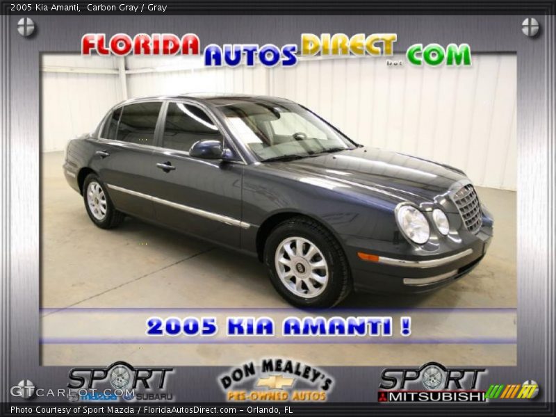 Carbon Gray / Gray 2005 Kia Amanti
