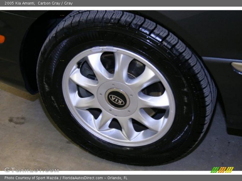 Carbon Gray / Gray 2005 Kia Amanti