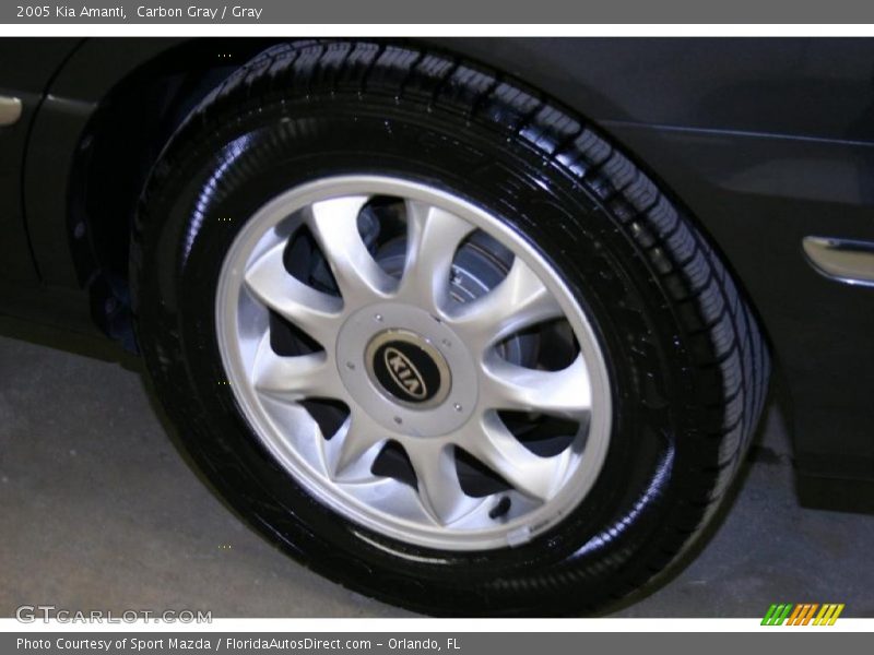 Carbon Gray / Gray 2005 Kia Amanti