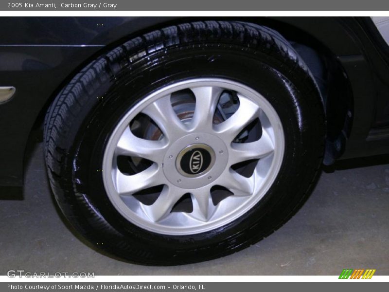 Carbon Gray / Gray 2005 Kia Amanti