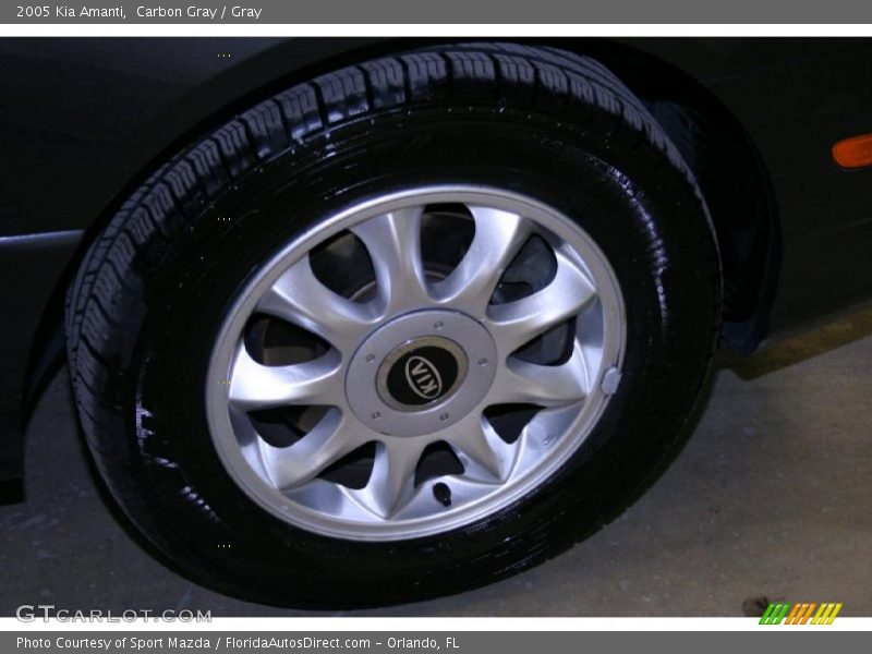 Carbon Gray / Gray 2005 Kia Amanti